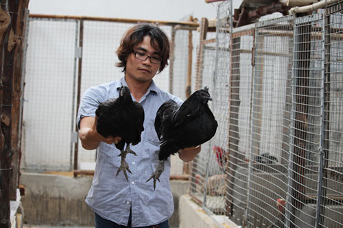 Vietnam man makes fortune out of exotic, pricey chickens