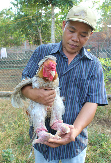 Vietnam man makes fortune out of exotic, pricey chickens