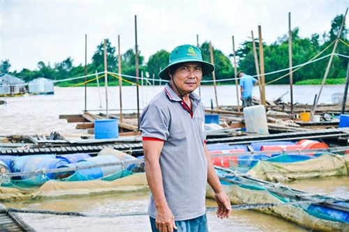 Hau River, river fish, fish-breeding cages, Vietnam economy, Vietnamnet bridge, English news about Vietnam, Vietnam news, news about Vietnam, English news, Vietnamnet news, latest news on Vietnam, Vietnam