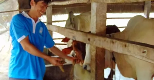 Young man starts business with two cows and passion