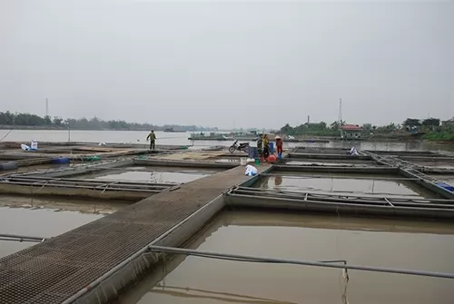 Hanoi\\\'s pond and lake pollution reaches alarming levels