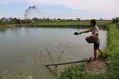 Sustainable aquaculture