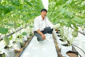 An Giang: Hi-tech agriculture for new-type countryside