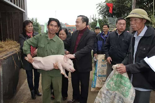 Delivery pig for poor farmers at Tan Ky district, Nghe An province