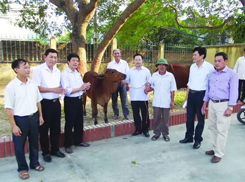 \"Cow bank\" gives farmers in Bac Ninh the chance to escape from poverty