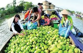 Exporters said to ignore Mekong products