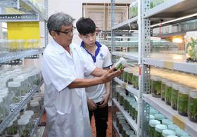 Biotechnology to be made a focus in science and technology development scheme: conference