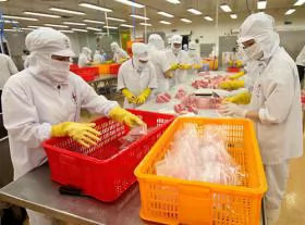 VN needs strategy to promote private firms