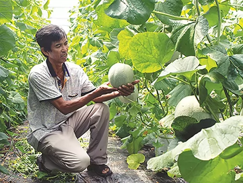 Farmers get smart to improve business