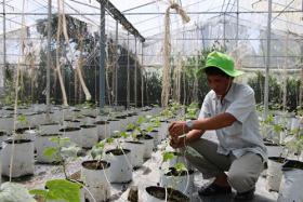 Mekong farmers prosper with organic farming