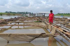 Prolonged rain and waste caused mass fish death on La Ngà River: official