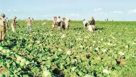 Vietnamese farm owners in Russia