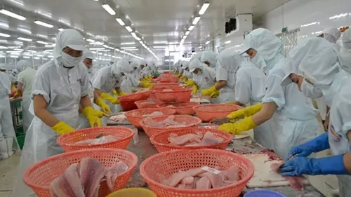 Vietnam\'s seafood exports down 10% due to coronavirus impact