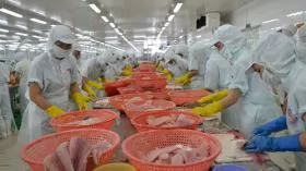 Vietnam's seafood exports down 10% due to coronavirus impact