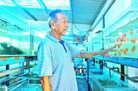 Creativity helps fish farmer gain success, help his peers