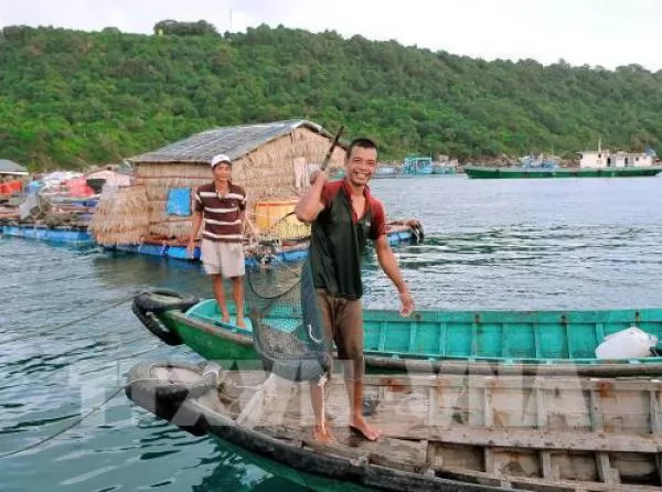 Marine aquaculture brings high profits to Kiên Giang farmers