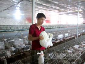 One Lang Son farmer was awarded the title “Excellent Vietnamese Farmer” in 2020