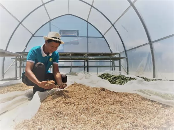 Young men launch organic farm after studying in Israel