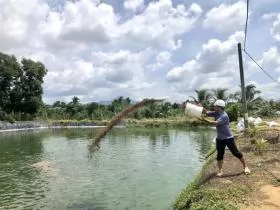 Bà Rịa - Vũng Tàu farmers on expansion path