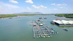 Bà Rịa - Vũng Tàu protects marine resources, develops aquaculture