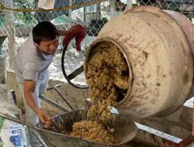 Quảng Trị farmer successful in organic farming