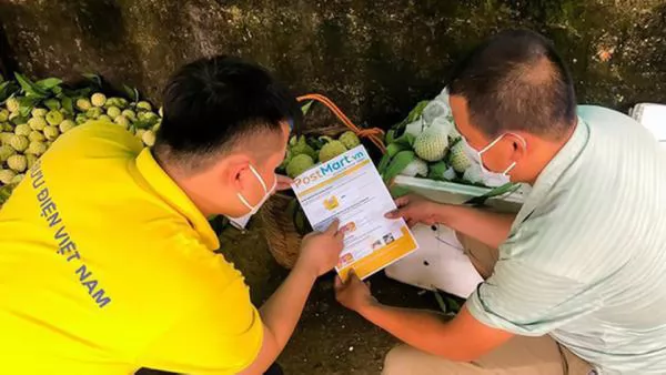 Vietnamese farmers join e-commerce platforms