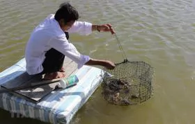 Ca Mau province acts to better protect environment in aquaculture