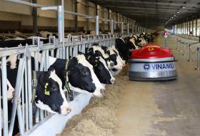 Numerous dairy firms enjoy profit growth in Q3