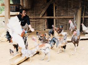 Mông student helps his people have better life