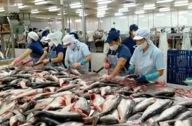 $149.4m programme to sustain aquaculture in Cửu Long Delta