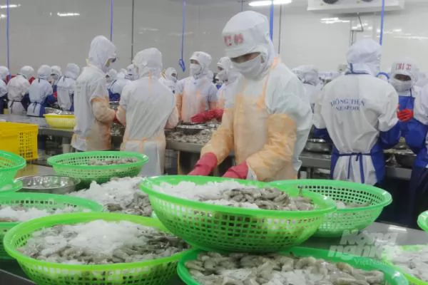 Vietnam\'s seafood industry is confident to face challenges