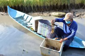 Mekong Delta to expand shrimp - rice farming model