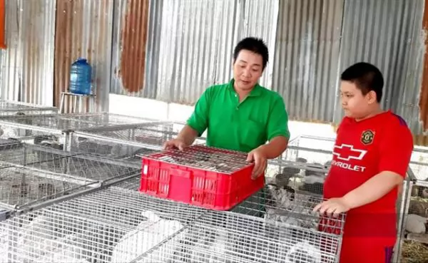 Hopping on the trend: Tiền Giang farmer finds fortune in rabbits