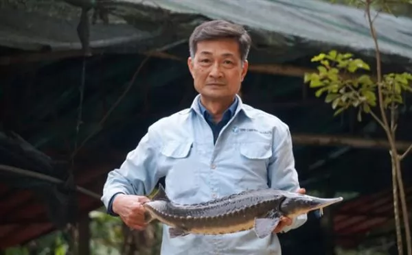 Cold-water fish breeder in Thanh Hoá earns a high profit