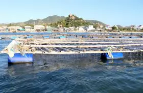 Ninh Thuận boosts development of marine aquaculture