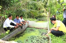 Trà Vinh Province expands effective farming models