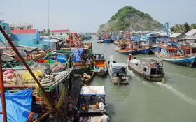 Quảng Ngãi establishes an inspection team to fight against IUU fishing