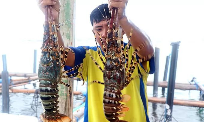 Vietnam\'s seafood exports nearing $11 bln in 2022