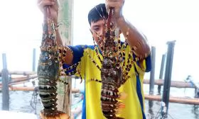 Vietnam\'s seafood exports nearing $11 bln in 2022