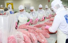 Seafood exports to small markets grow positively