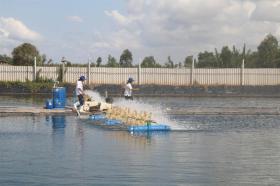 Tiền Giang Province expands aquaculture in coastal areas