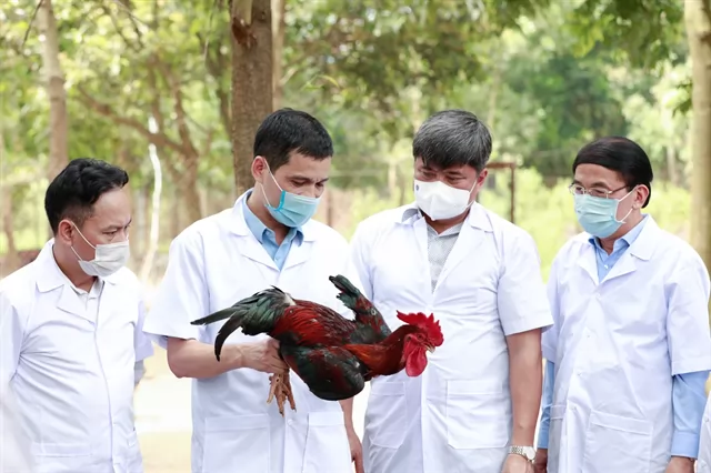 Hà Nội's agriculture sector strives to improve product branding