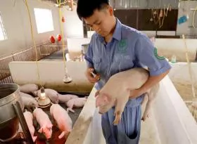 Animal welfare: Emerging concept and application that needs to be promoted in Việt Nam