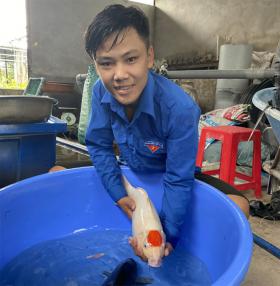 Vietnamese fish farmer generates impressive income from quality koi farm