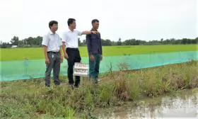 Fish farming in rice fields associated with community linkage: Double the benefit