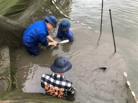 A place that supplies 10 million aquatic breeds every year