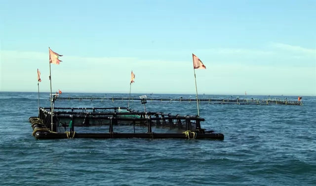 Ninh Thuận farmers expand aquaculture