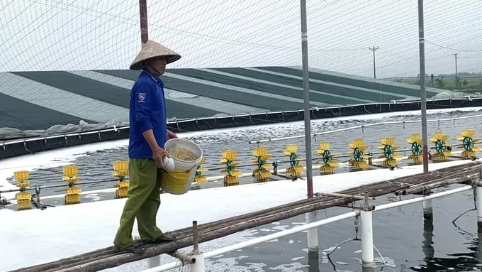 Ready to respond to white spot disease on winter shrimp