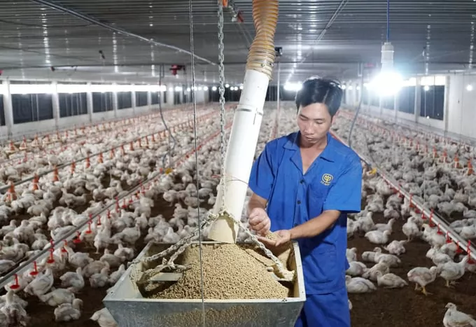 Science and technology help Vietnam's livestock industry accelerate