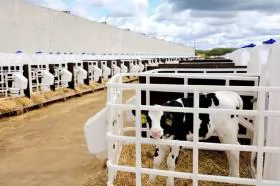 Exploiting potential of dairy industry